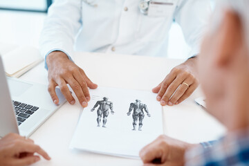 Doctor, hands and consulting with anatomy drawing in hospital for diagnosis, studying and research. People, documents and technology in clinic for health check, visit or medical results and wellness