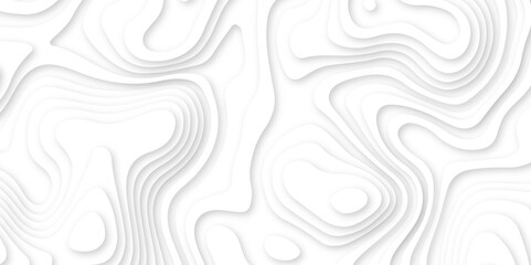 Abstract white paper cut background with line. 3d topography relief. Vector topographic illustration. realistic papercut decoration textured with wavy layer and shadow. seamless pattern wave design.