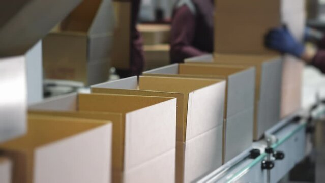 Automated production conveyor line at the modern factory. Carrying the cartons on the production conveyor line. Carton boxes transported on the production conveyor line. Machinery mechanism.