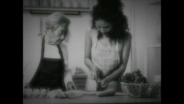 Old Video Film Grunge Overlay Preset