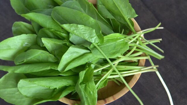 Sorrel green leaves in a wooden bowl. Sorrel for making herbal soup food. Rumex acetosa plant