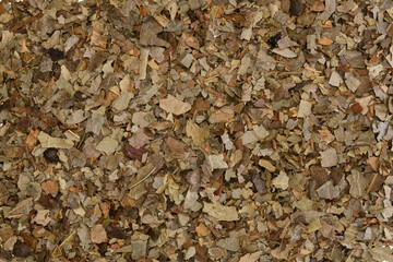 Overhead view of dried crushed boldo leaves (Peumus boldus)