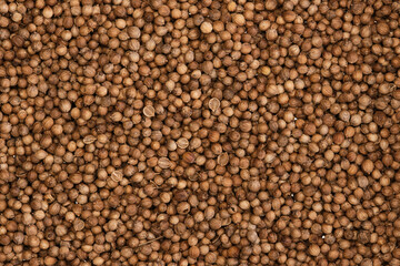 Overhead view of coriander seeds (Coriandrum sativum)