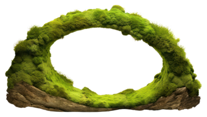 PNG  Semi circle moss plant green. 