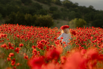 A young girl is walking through a field of red poppies. The field is full of flowers and the girl...