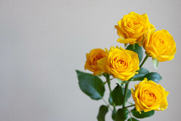 ゴールドダスト