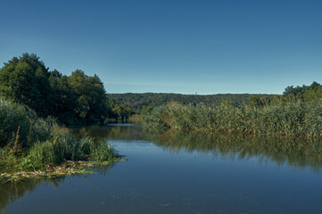 A small river flows sleepily between the banks overgrown with grass and reeds, clear blue sky and warm sun, green deciduous forest is visible in the distance