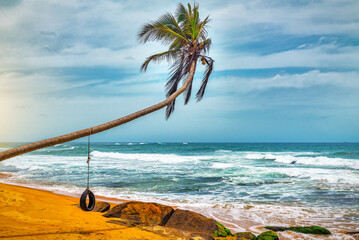 Beautiful ocean beach with single coconut palm tree and swing, made of tire and rope