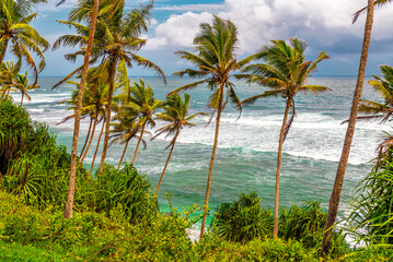 Obraz premium Beautiful tropical landscape with coconut palms, ocean and cloudy sky
