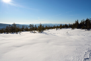 Snowy land at Silesian Beskid near Bialy Krzyz pass in Poland