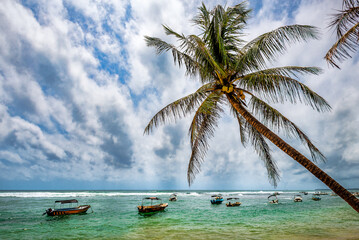 Small boats and coconut palm in tropical landscape