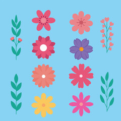 floral pattern, flower and leaf, flowers, different flowers