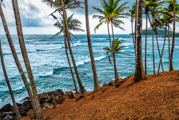 Tropical landscape with coconut palm trees and ocean, Stormy sky