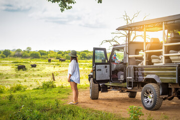 Woman in hat observing elephants on safari on Sri Lanka