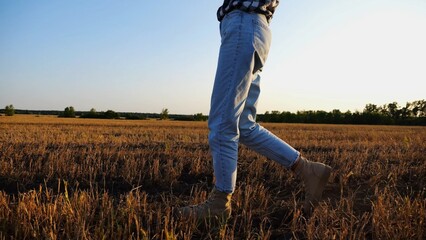 Female feet of farmer going through the wheat meadow at sunset. Legs of agronomist in boots walking among barley plantation at dusk. Concept of agricultural business. Slow motion