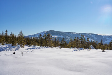 Snowy field and Barania Gora at Silesian Beskid on Bialy Krzyz in Poland
