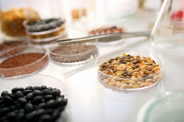 Laboratory biotechnological research on growth of transgenic seeds