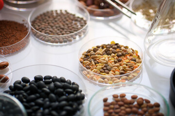 Laboratory biotechnological research on growth of transgenic seeds