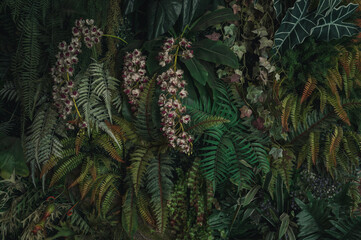 Herb wall, plant wall, natural green wallpaper and background. nature wall. Nature background of green forest	