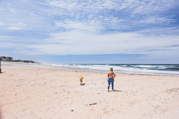 Hunde am Strand