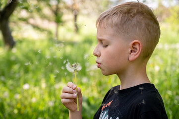 A handsome blond boy blows a dandelion in the park. Selective focus.