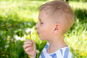 Cute little blond boy blowing a dandelion in the summer garden.