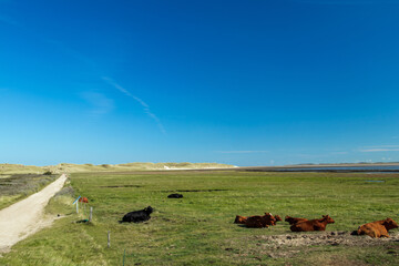 Nordsee Impressionen