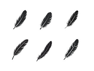 A set of six black feather icons, each with a unique design, isolated on white background. Flat vector illustration.