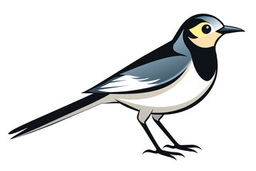 A wagtail bird vector artwork illustration