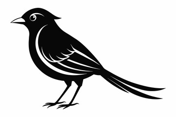 A beautiful phoebe bird silhouette black vector artwork illustration 
