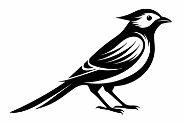 A beautiful phoebe bird silhouette black vector artwork illustration 