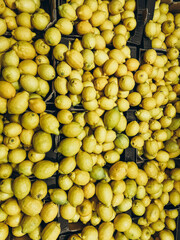 Lemons close-up, food photography 