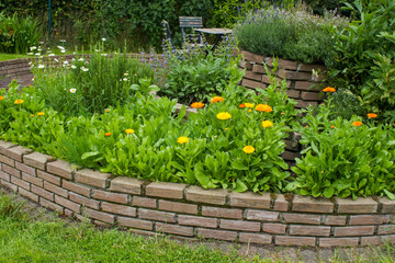 herb spiral in the garden with fresh herbs