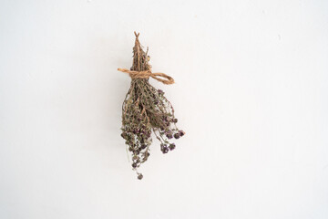 vertical photograph of a sprig of thyme drying on a string and hanging upside down on a white wall
