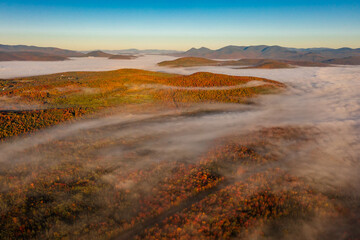 Drone flight over foggy clouds over colorful trees in fog at dawn in autumn. Mountains background.