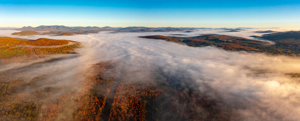 Panorama drone flight over foggy clouds over colorful trees at dawn in autumn. Mountains background