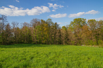 Typical polish landscape. A view of field and forest | Typowy polski krajobraz. Widok na pole i las