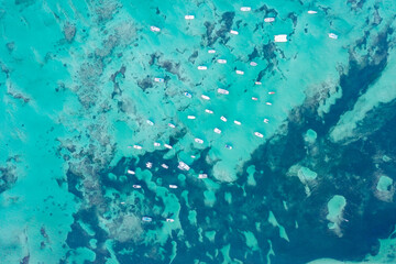 Many yachts and sailboats in sea from bird's eye view. Drone photo blue sea with yachts. Dominicana.
