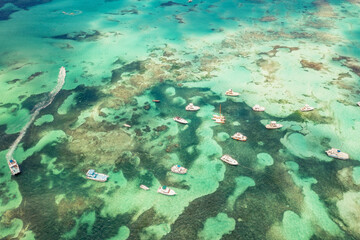 Drone photo turquoise sea with yachts. Many yachts and sailboats in sea bird's eye view. Dominicana.