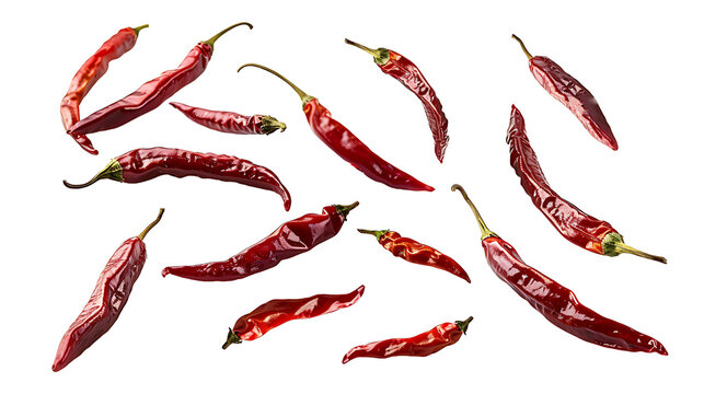 dry red chili peppers isolated on transparent background cutout