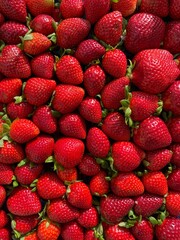 red organic strawberry close up fruit 