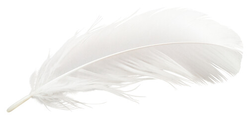 Obraz premium PNG White feather lightweight accessories fragility.