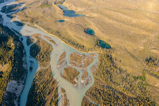 Top view drone footage of a winding river during a flood. Forest, rocks. Nordegg, Alberta, Canada.