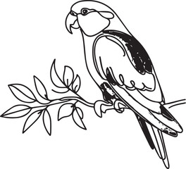 Bird Vector Line Art. Line Art. Bird Drawing. Artwork. Flying Bird. Illustration. Line Art Drawing.