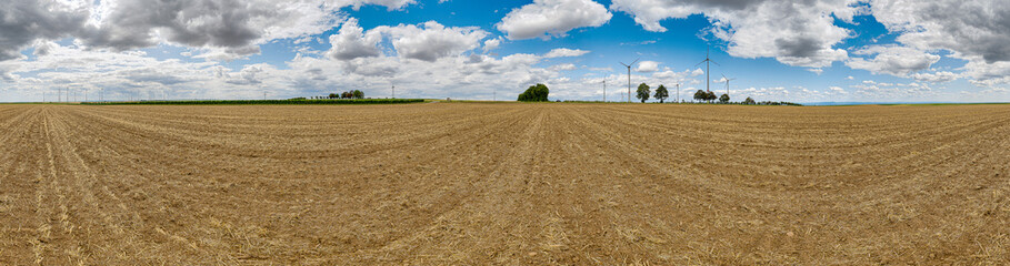 agriculture field overcast shy 360° backplate