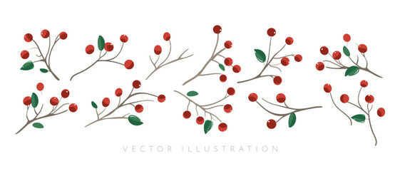 Collection of cartoon red berries loganberries, cranberries, viburnum, rowan, stoneberry. Set berry isolated. Hand drawn design elements in doodle style
