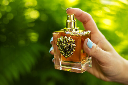 DNIPRO,UKRAINE - MAY 19, 2024: Dolce Gabbana Devotion perfume bottle in hand on nature background