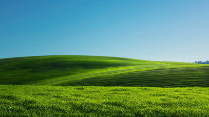 Fototapeta premium Classic Bliss-inspired Background - Clean and simple landscape with field