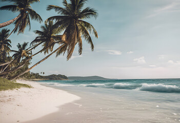 beach with palm trees