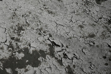 cracked earth showing lack of water